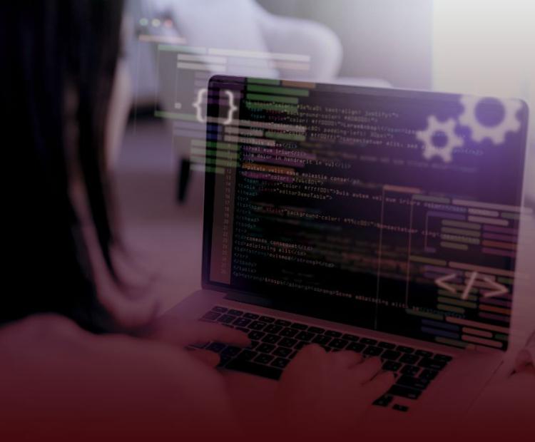 servicio desarrollo de software